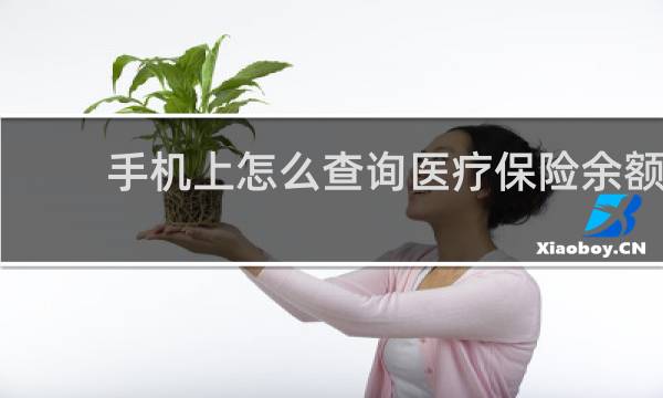 手机上怎么查询医疗保险余额