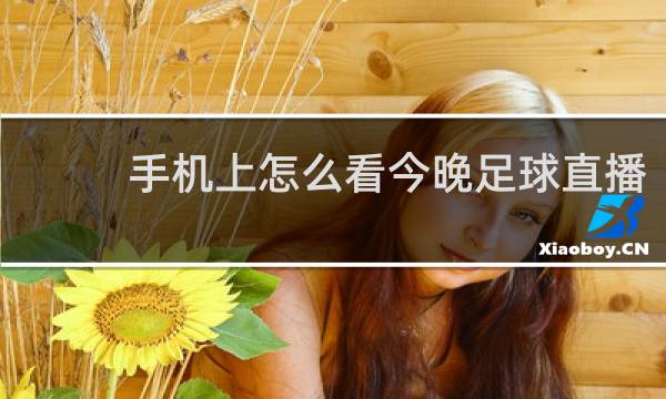 手机上怎么看今晚足球直播