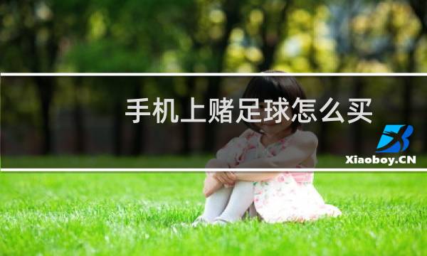 手机上赌足球怎么买