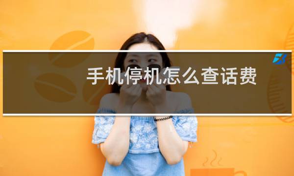 手机停机怎么查话费？