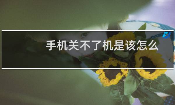 手机关不了机是该怎么办