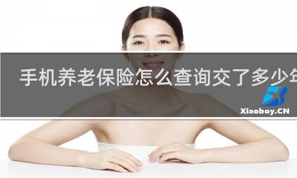 手机养老保险怎么查询交了多少年了