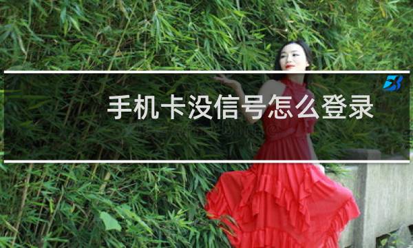 手机卡没信号怎么登录微信（手机卡没信号怎么解决）图片