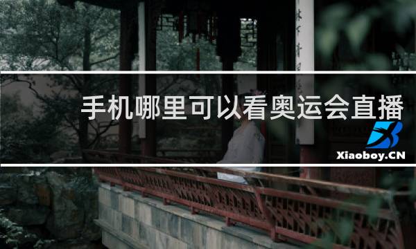 手机哪里可以看奥运会直播