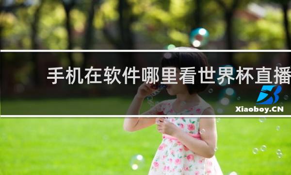 手机在软件哪里看世界杯直播