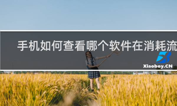 手机如何查看哪个软件在消耗流量