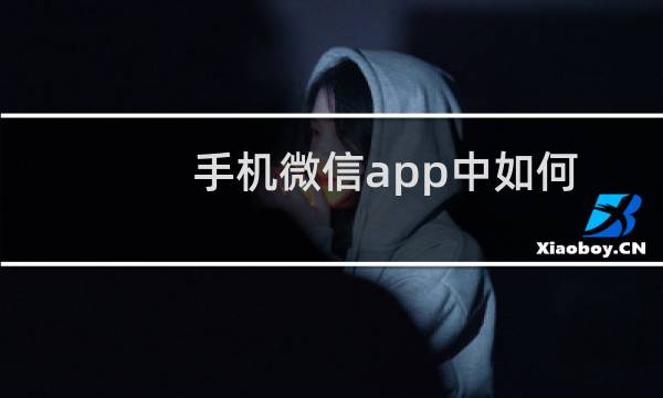 手机微信app中如何更换或解除手机号的绑定