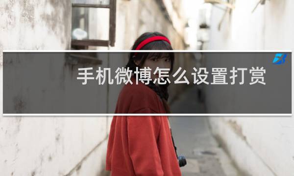 手机微博怎么设置打赏、问答功能