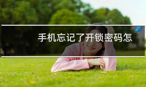 手机忘记了开锁密码怎么办