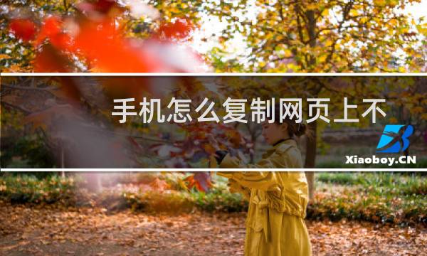 手机怎么复制网页上不能复制的文字（如何把不能复制的网页文字复制下来）