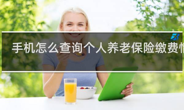 手机怎么查询个人养老保险缴费情况