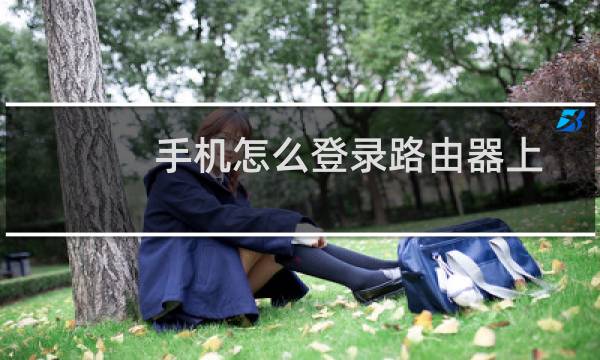 手机怎么登录路由器上的设置（手机怎么登录路由器）