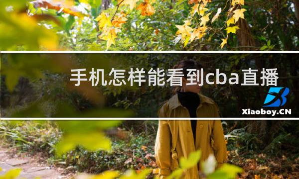 手机怎样能看到cba直播