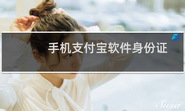 手机支付宝软件身份证网证功能怎么使用