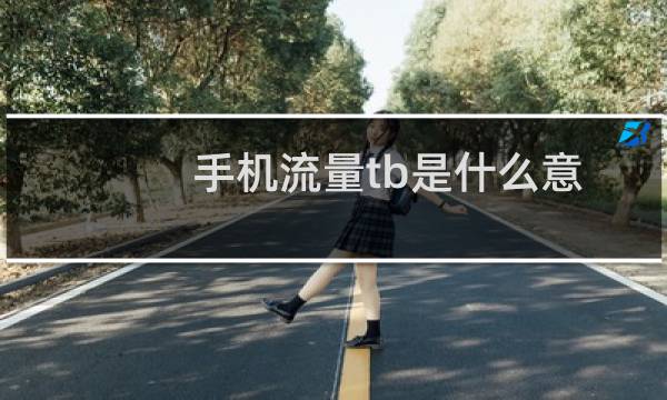 手机流量tb是什么意思啊（手机流量tb是什么意思）