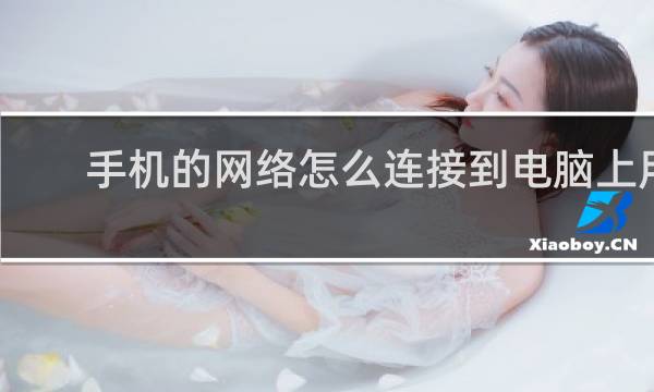 手机的网络怎么连接到电脑上用
