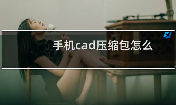 手机cad压缩包怎么解压（cad图纸在手机上怎么打开）