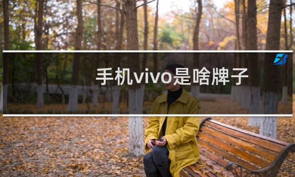 手机vivo是啥牌子