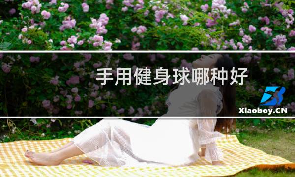 手用健身球哪种好