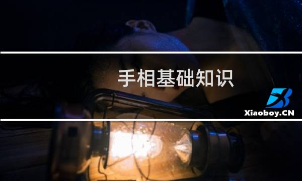 手相基础知识(二):认识阴阳和五指五行