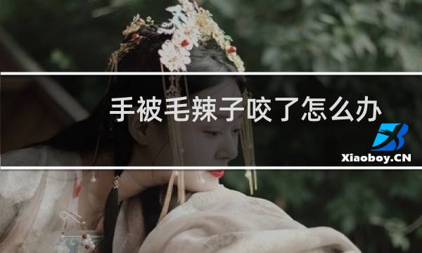 手被毛辣子咬了怎么办（毛辣子咬了怎么办）图片