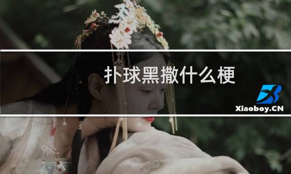 扑球黑撒什么梗