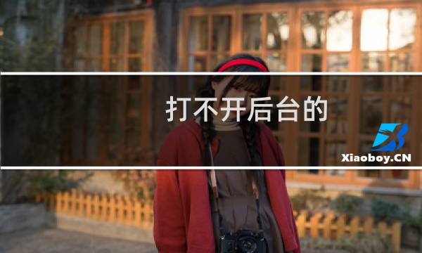 打不开后台的 文件管理及网站