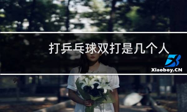 打乒乓球双打是几个人