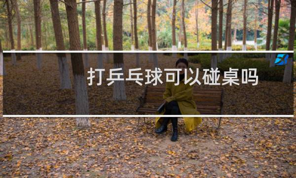 打乒乓球可以碰桌吗