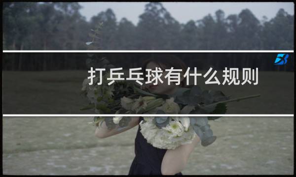 打乒乓球有什么规则