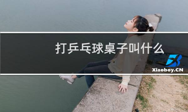 打乒乓球桌子叫什么