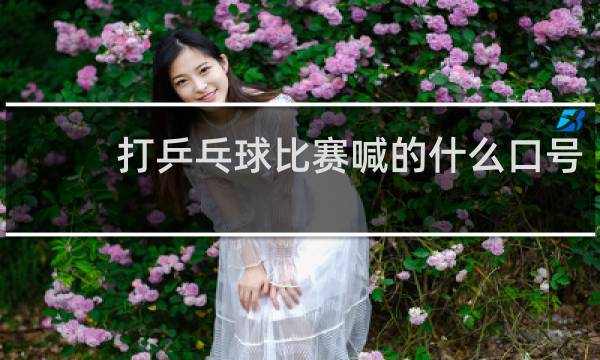 打乒乓球比赛喊的什么口号
