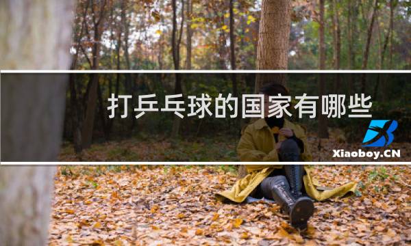 打乒乓球的国家有哪些