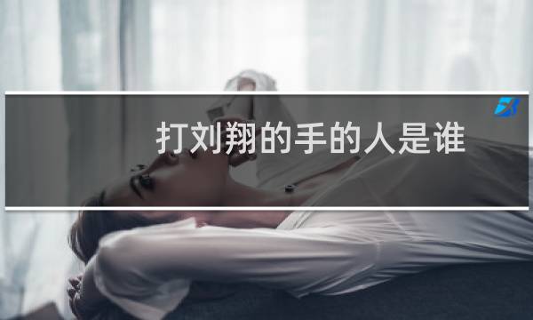 打刘翔的手的人是谁