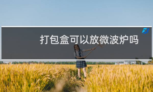 打包盒可以放微波炉吗