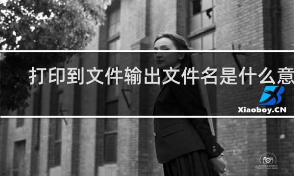 打印到文件输出文件名是什么意思