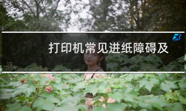 打印机常见进纸障碍及处理