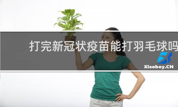 打完新冠状疫苗能打羽毛球吗