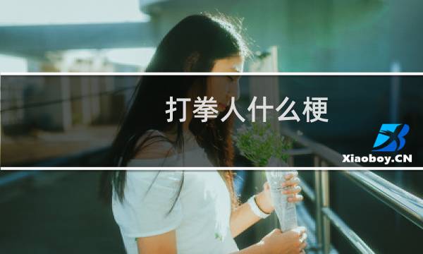 打拳人什么梗