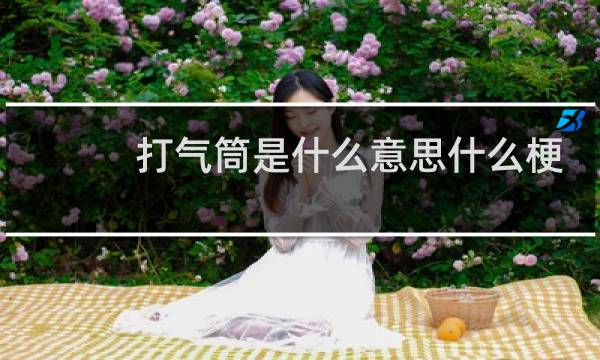 打气筒是什么意思什么梗