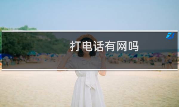 打电话有网吗