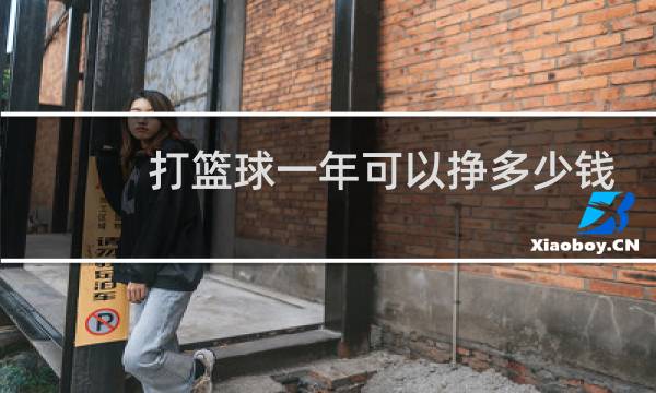 打篮球一年可以挣多少钱