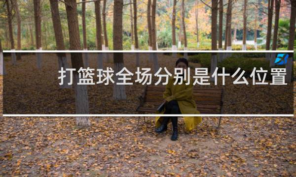 打篮球全场分别是什么位置