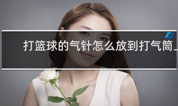 打篮球的气针怎么放到打气筒上