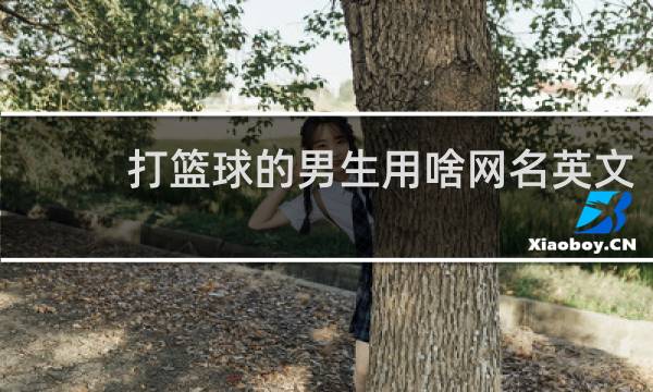 打篮球的男生用啥网名英文