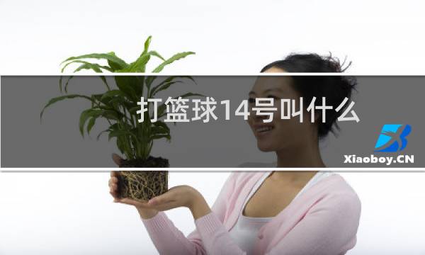 打篮球14号叫什么