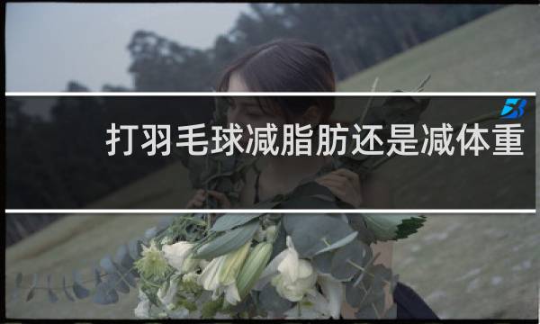打羽毛球减脂肪还是减体重