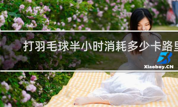 打羽毛球半小时消耗多少卡路里