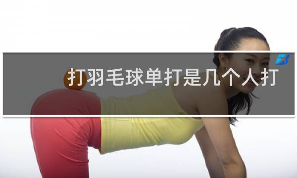 打羽毛球单打是几个人打
