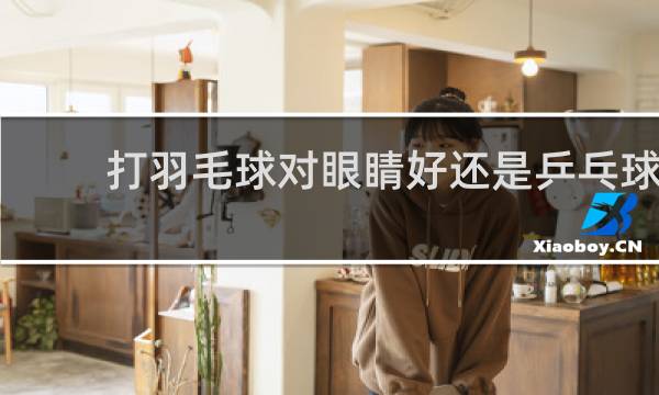 打羽毛球对眼睛好还是乒乓球
